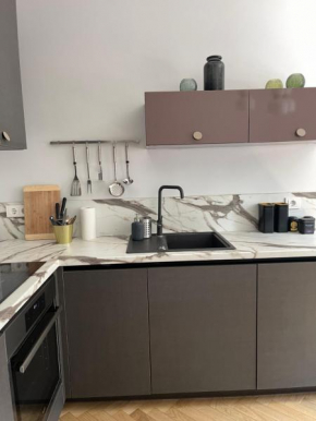 Newly renovated apartment in the city center